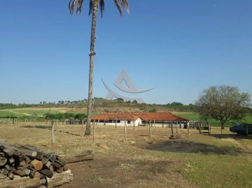 Foto 3 de Fazenda / Haras com 4 quartos à venda, 2147750m2 em Cajuru - SP