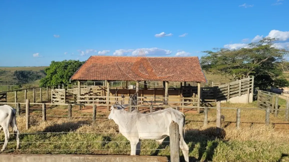 Foto 5 de Fazenda / Haras com 1 quarto à venda, 350900m2 em Piracicaba - SP