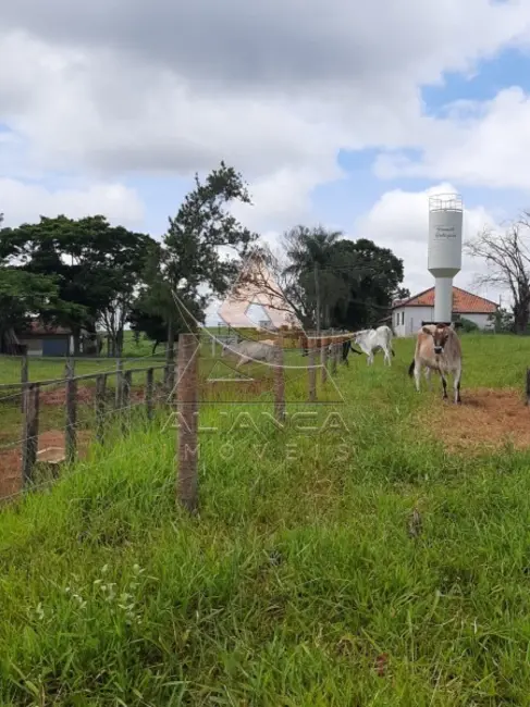 Foto 9 de Fazenda / Haras com 1 quarto à venda, 350900m2 em Piracicaba - SP