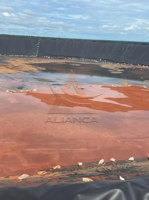 Foto 7 de Fazenda / Haras com 5 quartos à venda, 16777215m2 em Joao Pinheiro - MG