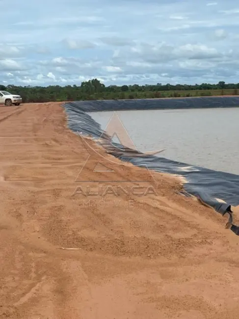 Foto 9 de Fazenda / Haras com 5 quartos à venda, 16777215m2 em Joao Pinheiro - MG