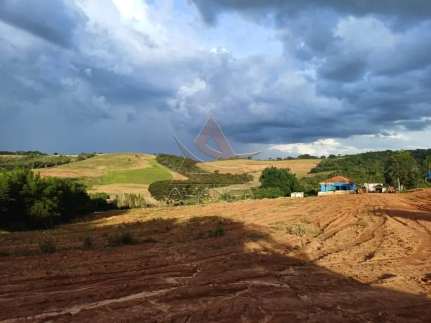 Foto 3 de Fazenda / Haras com 3 quartos à venda, 3150000m2 em Conceicao Do Rio Verde - MG