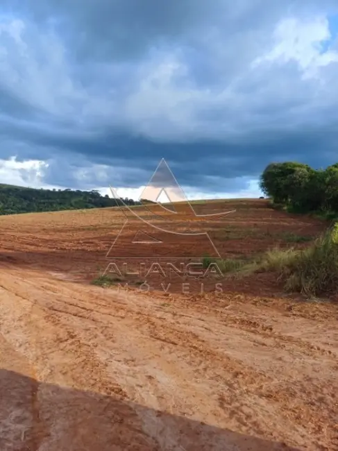 Foto 5 de Fazenda / Haras com 3 quartos à venda, 3150000m2 em Conceicao Do Rio Verde - MG