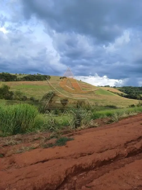 Foto 2 de Fazenda / Haras com 3 quartos à venda, 3150000m2 em Conceicao Do Rio Verde - MG