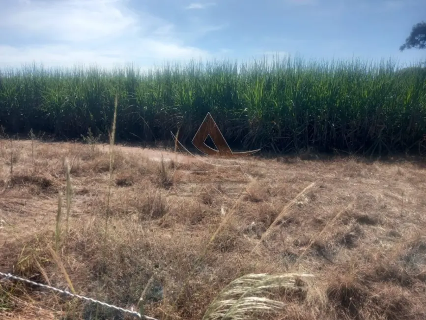 Foto 2 de Fazenda / Haras com 2 quartos à venda, 242000m2 em Santo Antonio Da Alegria - SP