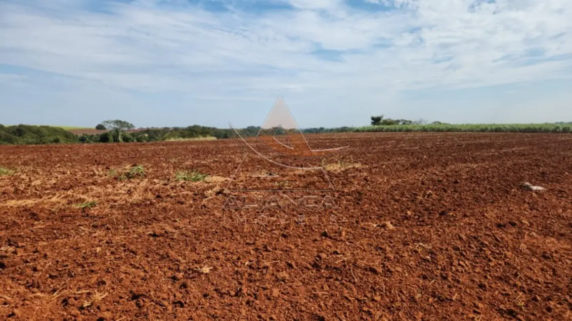 Foto 2 de Fazenda / Haras com 1 quarto à venda, 1452000m2 em Sao Carlos - SP