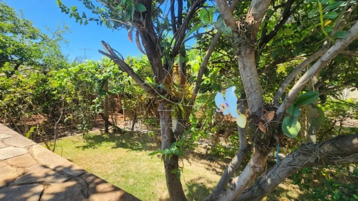 Foto 9 de Chácara com 3 quartos à venda, 700m2 em Jardim Maria Goretti, Ribeirao Preto - SP