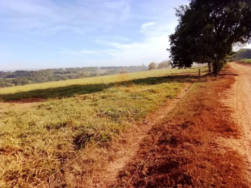 Foto 1 de Fazenda / Haras com 1 quarto à venda, 3146000m2 em Casa Branca - SP