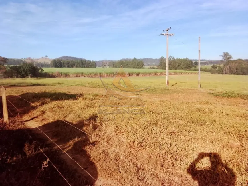 Foto 2 de Fazenda / Haras com 1 quarto à venda, 3146000m2 em Casa Branca - SP