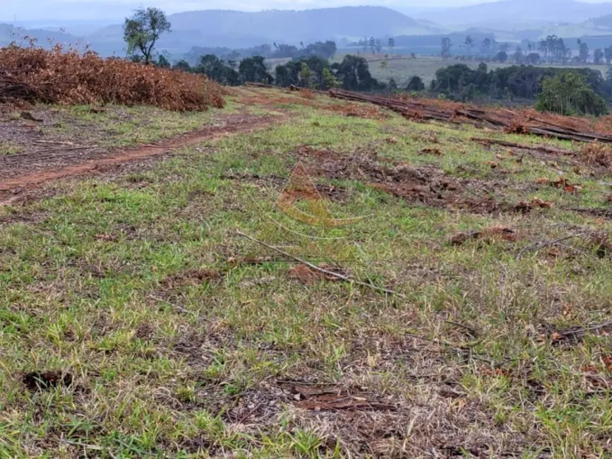 Foto 4 de Fazenda / Haras com 1 quarto à venda, 10500000m2 em Santo Antonio Do Amparo - MG