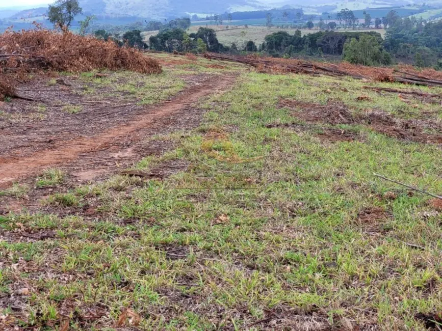 Foto 2 de Fazenda / Haras com 1 quarto à venda, 10500000m2 em Santo Antonio Do Amparo - MG
