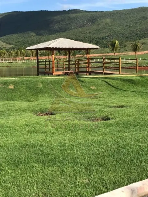 Foto 8 de Fazenda / Haras com 1 quarto à venda, 16777215m2 em Minacu - GO