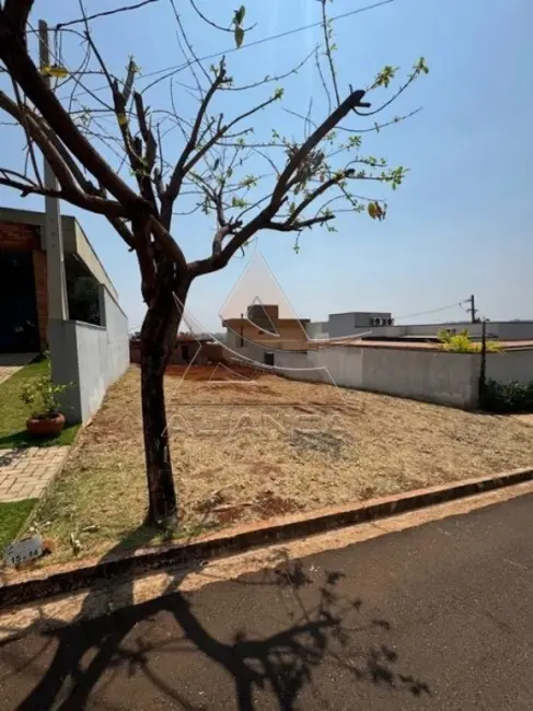 Foto 1 de Terreno / Lote à venda, 250m2 em Ribeirao Preto - SP