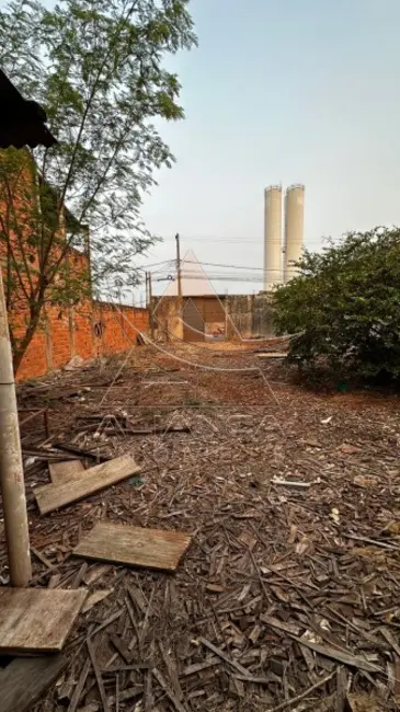 Foto 4 de Terreno / Lote à venda, 250m2 em Jardim Jandaia, Ribeirao Preto - SP