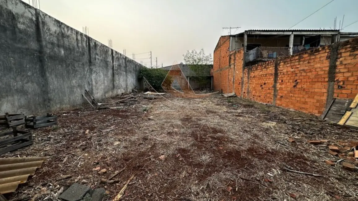 Foto 1 de Terreno / Lote à venda, 250m2 em Jardim Jandaia, Ribeirao Preto - SP