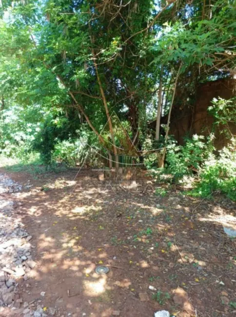 Foto 4 de Terreno / Lote à venda, 2021m2 em Geraldo Correia de Carvalho, Ribeirao Preto - SP