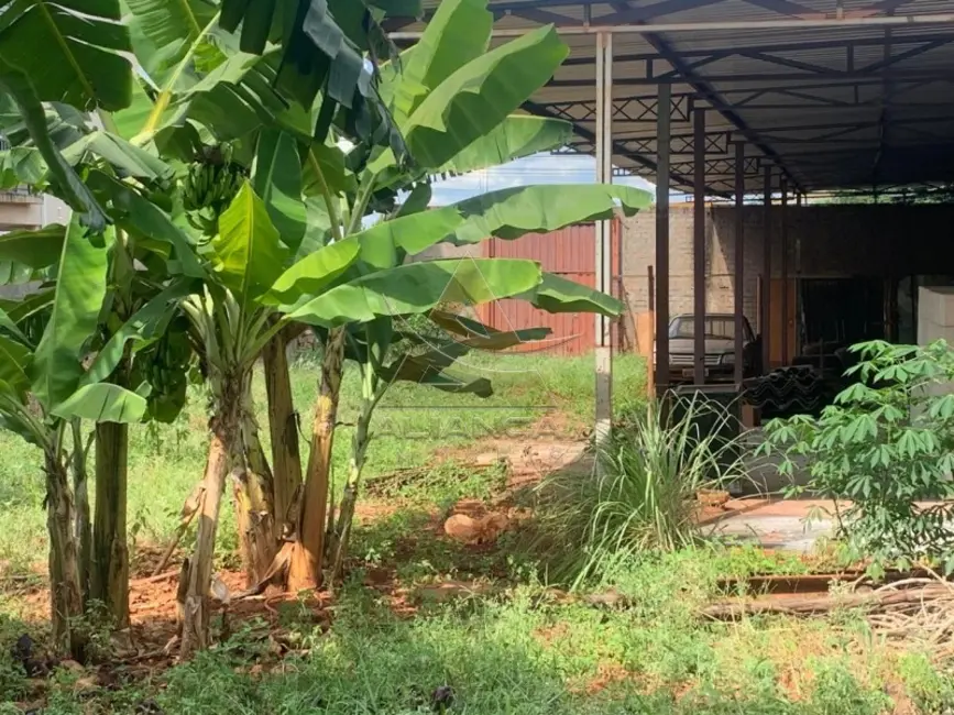 Foto 9 de Terreno / Lote à venda, 382m2 em Jardim Zara, Ribeirao Preto - SP