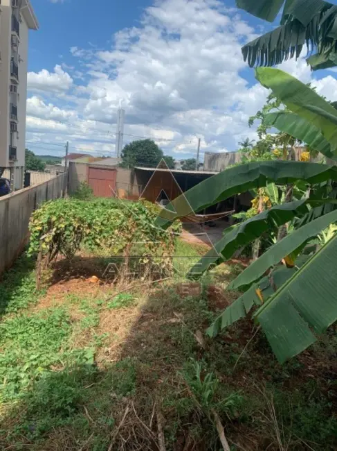 Foto 4 de Terreno / Lote à venda, 382m2 em Jardim Zara, Ribeirao Preto - SP