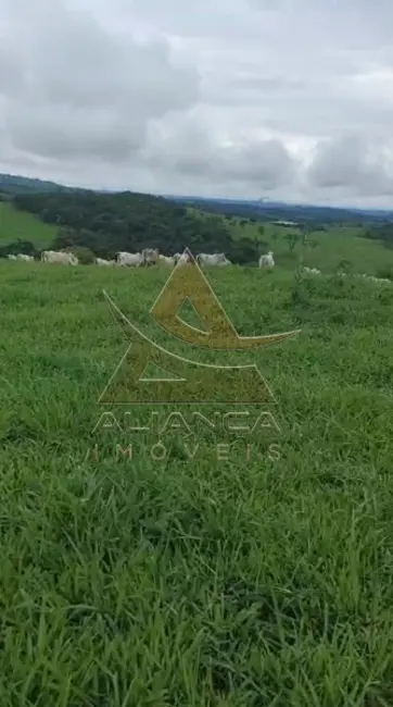 Foto 5 de Fazenda / Haras com 2 quartos à venda, 4912600m2 em Cassia - MG