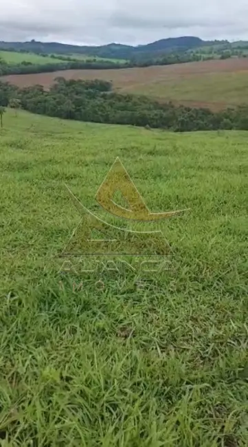 Foto 6 de Fazenda / Haras com 2 quartos à venda, 4912600m2 em Cassia - MG