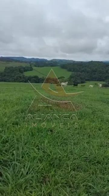 Foto 2 de Fazenda / Haras com 2 quartos à venda, 4912600m2 em Cassia - MG