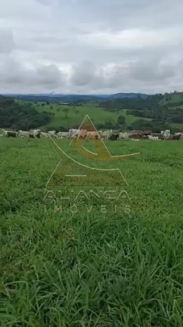 Foto 3 de Fazenda / Haras com 2 quartos à venda, 4912600m2 em Cassia - MG