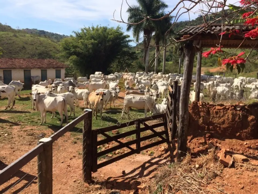Foto 4 de Fazenda / Haras com 8 quartos à venda, 3351700m2 em Tapiratiba - SP