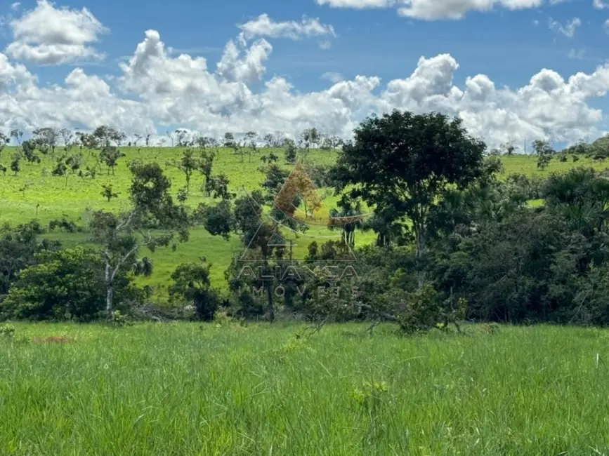 Foto 2 de Fazenda / Haras com 3 quartos à venda, 16777215m2 em Primavera Do Leste - MT