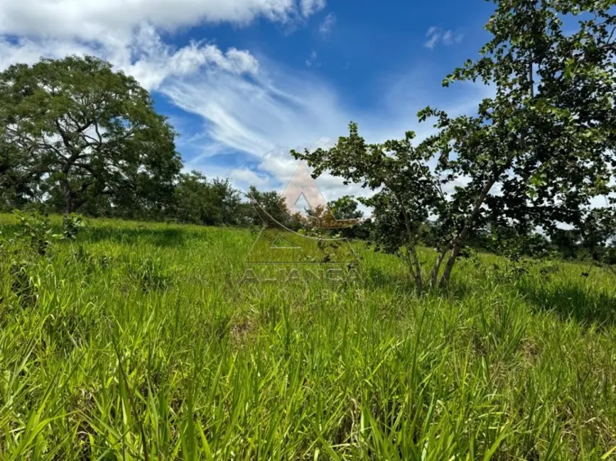 Fazenda / Haras com 3 quartos à venda, 16777215m2 em Primavera Do Leste - MT - imagem 7 Foto 7 de Fazenda / Haras com 3 quartos à venda, 16777215m2 em Primavera Do Leste - MT