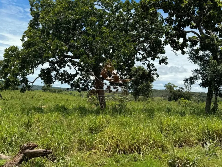 Fazenda / Haras com 3 quartos à venda, 16777215m2 em Primavera Do Leste - MT - imagem 3 Foto 3 de Fazenda / Haras com 3 quartos à venda, 16777215m2 em Primavera Do Leste - MT