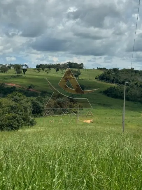 Fazenda / Haras com 3 quartos à venda, 16777215m2 em Primavera Do Leste - MT - imagem 9 Foto 9 de Fazenda / Haras com 3 quartos à venda, 16777215m2 em Primavera Do Leste - MT