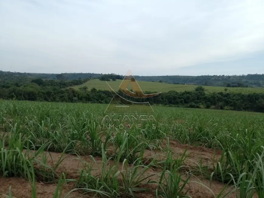 Foto 2 de Fazenda / Haras com 5 quartos à venda, 6897000m2 em Pirassununga - SP