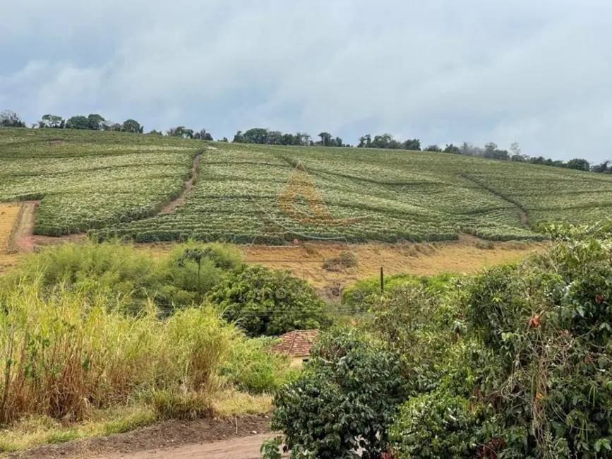Fazenda / Haras com 1 quarto à venda, 1000m2 em Sao Lourenco - MG - imagem 6 Foto 6 de Fazenda / Haras com 1 quarto à venda, 1000m2 em Sao Lourenco - MG