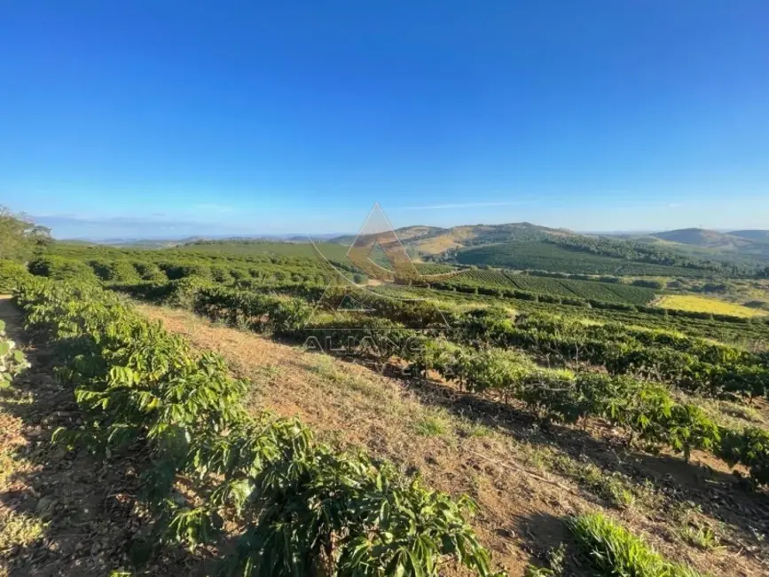 Foto 1 de Fazenda / Haras com 1 quarto à venda, 1000m2 em Sao Lourenco - MG