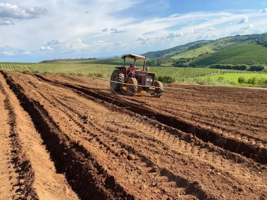 Fazenda / Haras com 1 quarto à venda, 1000m2 em Sao Lourenco - MG - imagem 4 Foto 4 de Fazenda / Haras com 1 quarto à venda, 1000m2 em Sao Lourenco - MG
