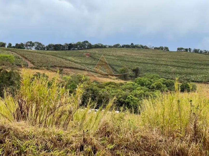 Fazenda / Haras com 1 quarto à venda, 1000m2 em Sao Lourenco - MG - imagem 7 Foto 7 de Fazenda / Haras com 1 quarto à venda, 1000m2 em Sao Lourenco - MG