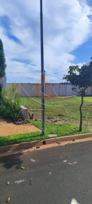 Foto 5 de Terreno / Lote à venda, 566m2 em Ribeirao Preto - SP