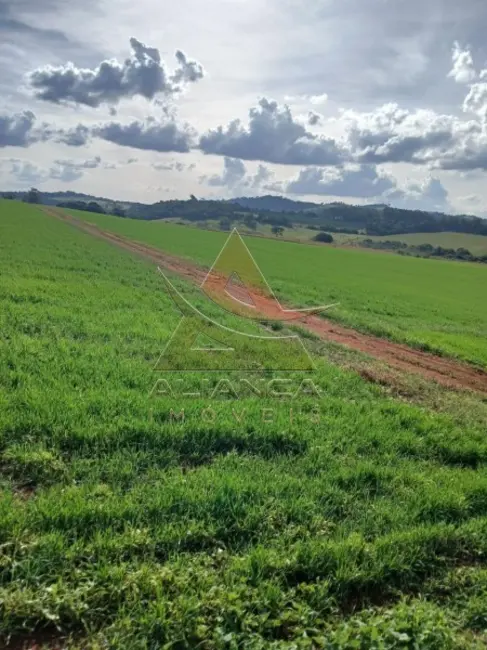Foto 4 de Fazenda / Haras com 1 quarto à venda, 1400000m2 em Carmo Do Rio Claro - MG