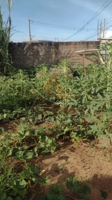 Foto 3 de Terreno / Lote à venda, 200m2 em Ribeirao Preto - SP