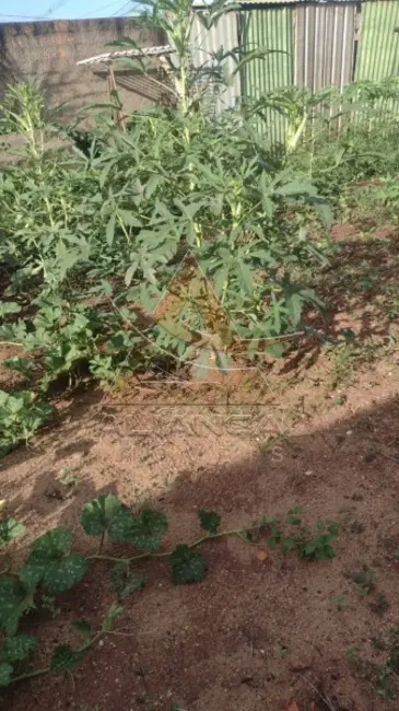 Foto 2 de Terreno / Lote à venda, 200m2 em Ribeirao Preto - SP