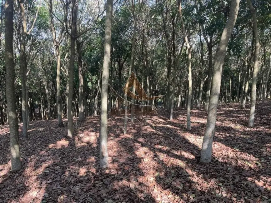 Foto 7 de Fazenda / Haras com 1 quarto à venda, 1250000m2 em Sao Joao Da Boa Vista - SP