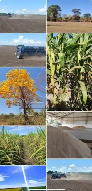 Foto 6 de Fazenda / Haras com 1 quarto à venda, 16777215m2 em Formoso Do Araguaia - TO