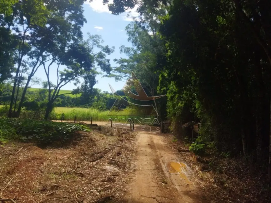 Foto 7 de Fazenda / Haras à venda, 148800m2 em Mococa - SP