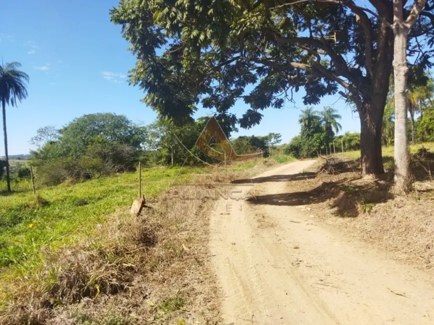 Foto 8 de Fazenda / Haras à venda, 148800m2 em Mococa - SP