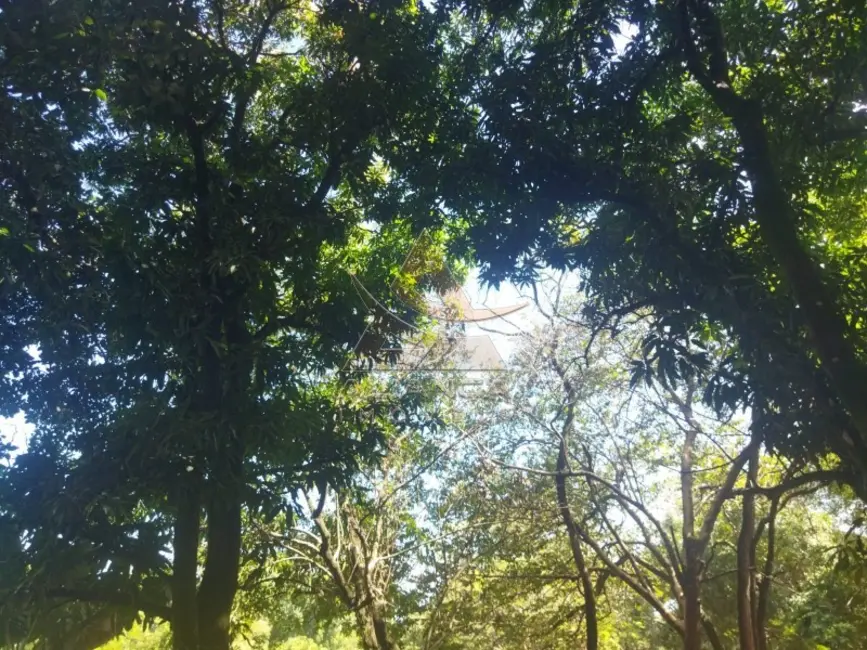 Foto 6 de Fazenda / Haras à venda, 148800m2 em Mococa - SP