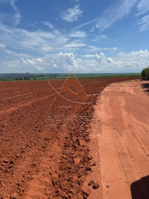 Foto 1 de Fazenda / Haras com 1 quarto à venda, 16777215m2 em Gaviao Peixoto - SP