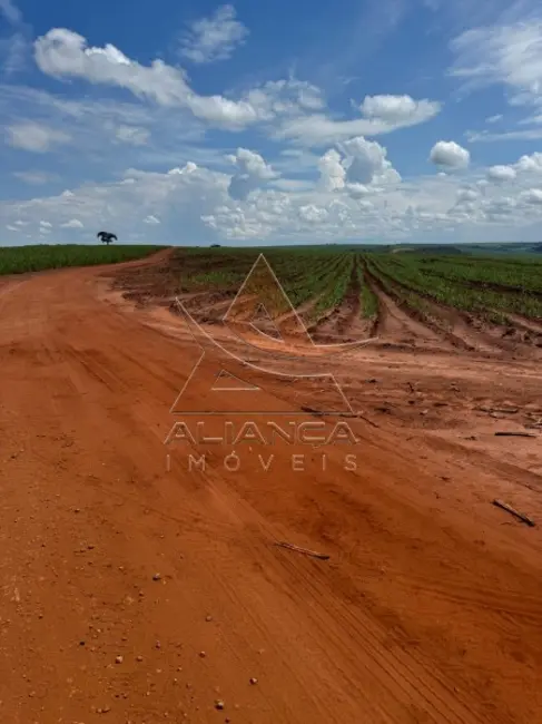 Foto 2 de Fazenda / Haras com 1 quarto à venda, 16777215m2 em Gaviao Peixoto - SP