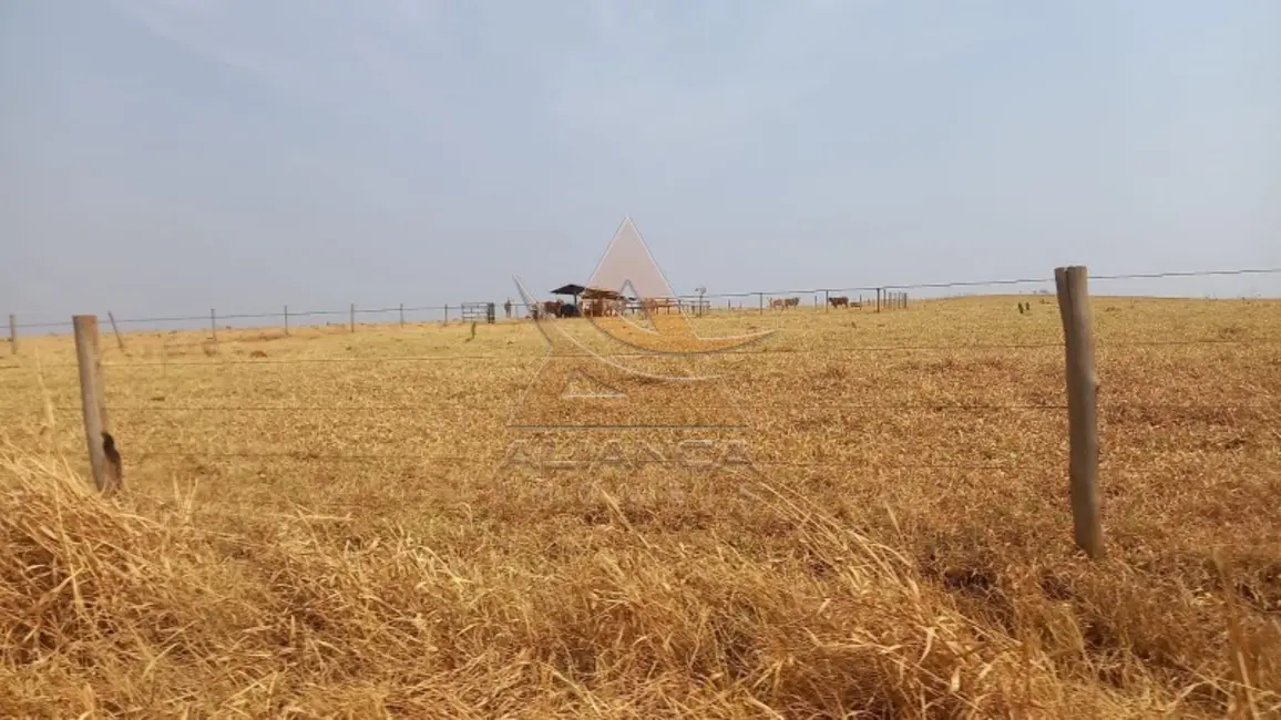 Foto 9 de Fazenda / Haras com 1 quarto à venda, 14520000m2 em Prata - MG