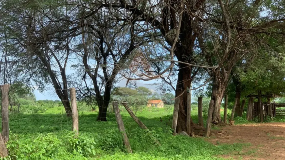 Foto 9 de Fazenda / Haras com 1 quarto à venda, 16777215m2 em Jaiba - MG