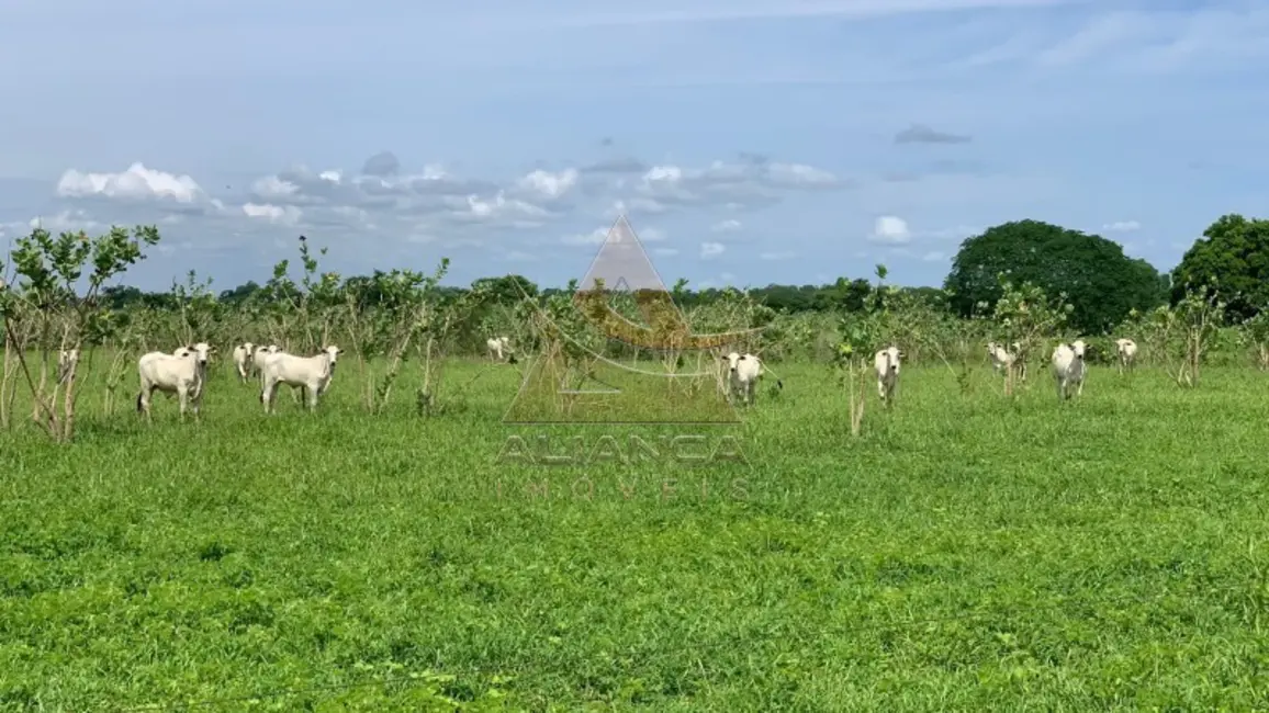 Foto 1 de Fazenda / Haras com 1 quarto à venda, 16777215m2 em Jaiba - MG